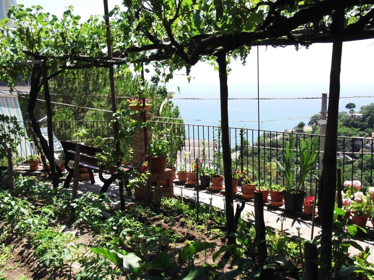 Le Mimose Villa Vietri sul Mare Exterior photo