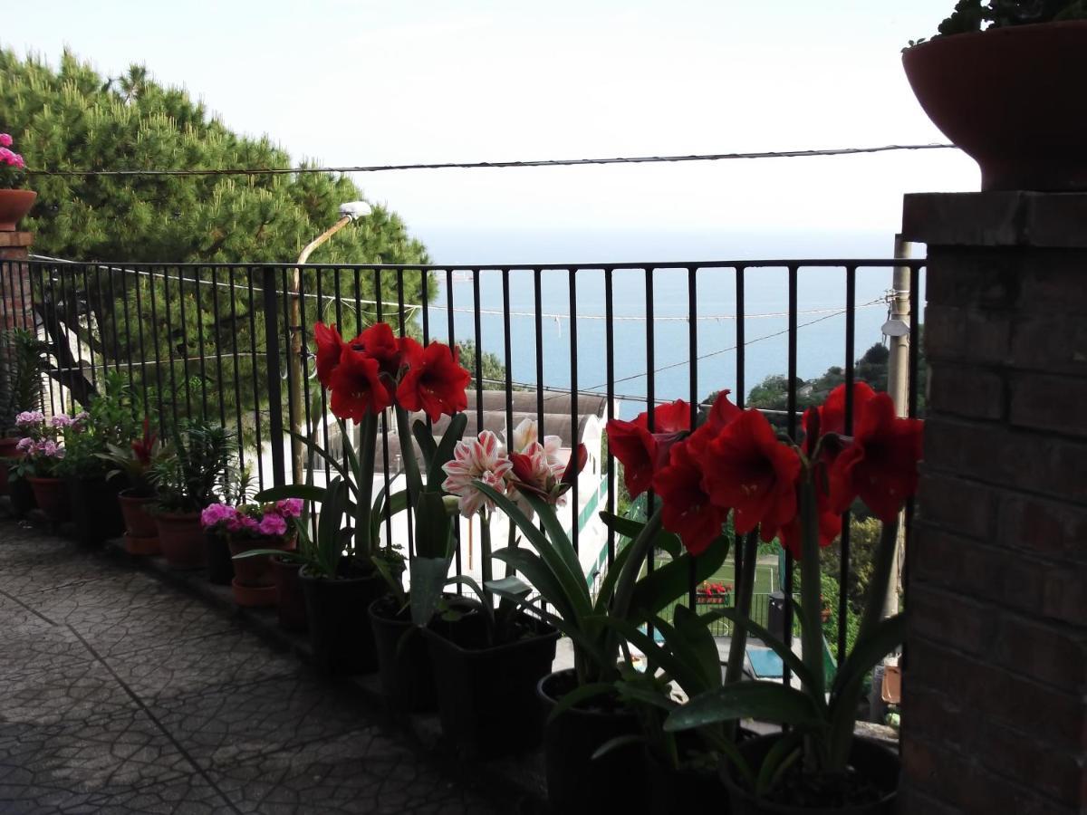 Le Mimose Villa Vietri sul Mare Exterior photo