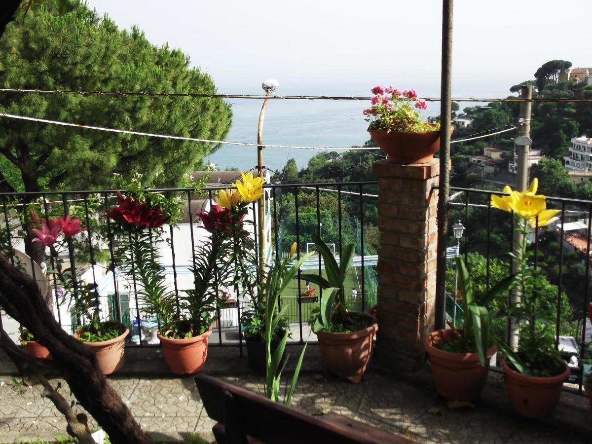 Le Mimose Villa Vietri sul Mare Exterior photo