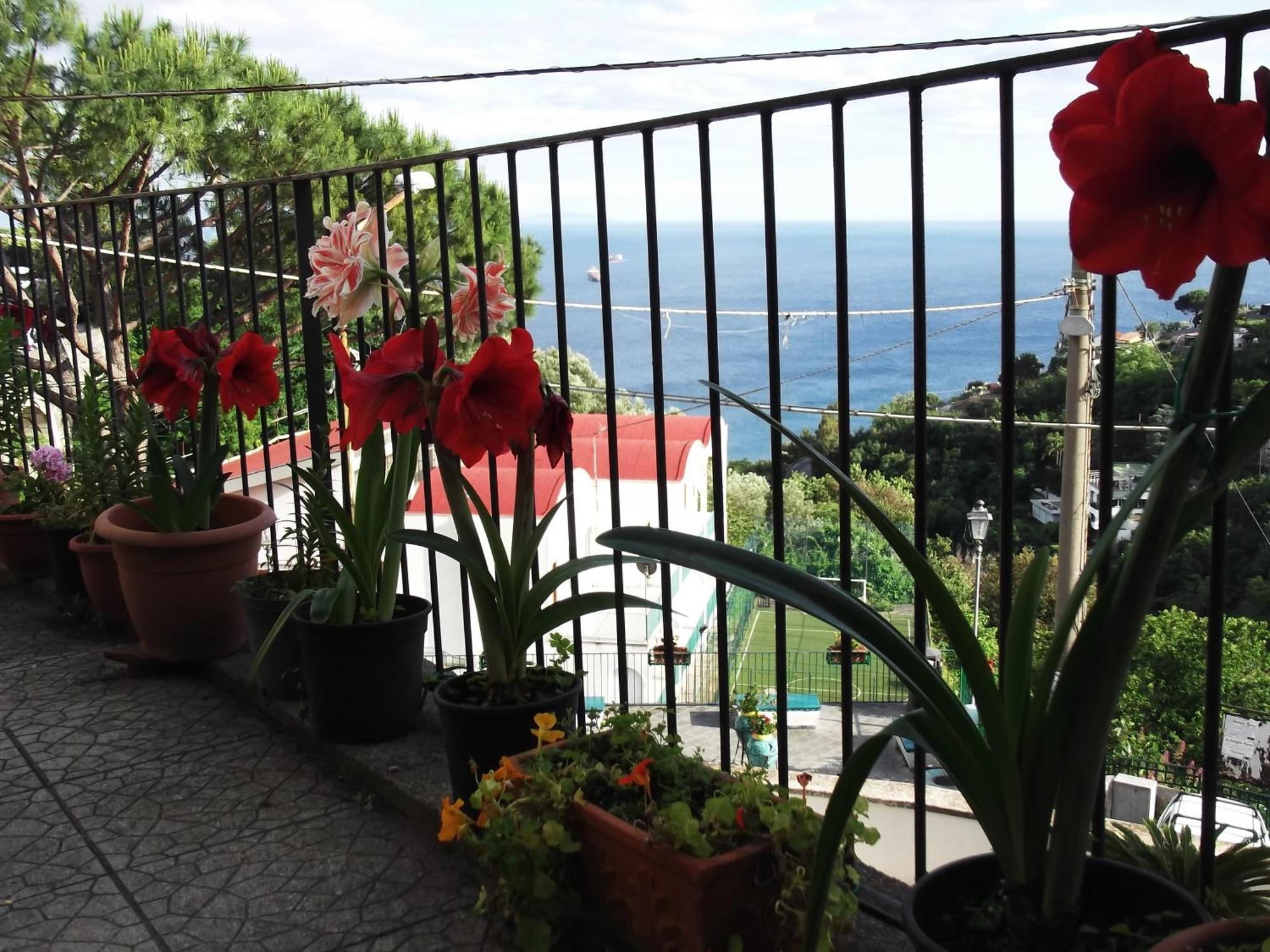 Le Mimose Villa Vietri sul Mare Exterior photo